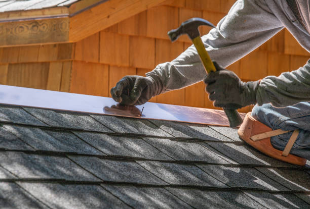 Best Sheet Metal Roofing  in Burke, VA