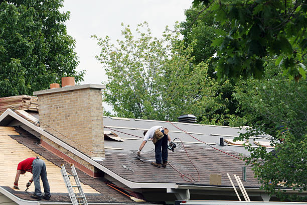 Best Roof Coating and Sealing  in Burke, VA